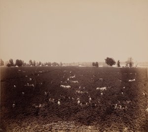 Mathews Place, Lobdel Station, Jas. S. Richardson